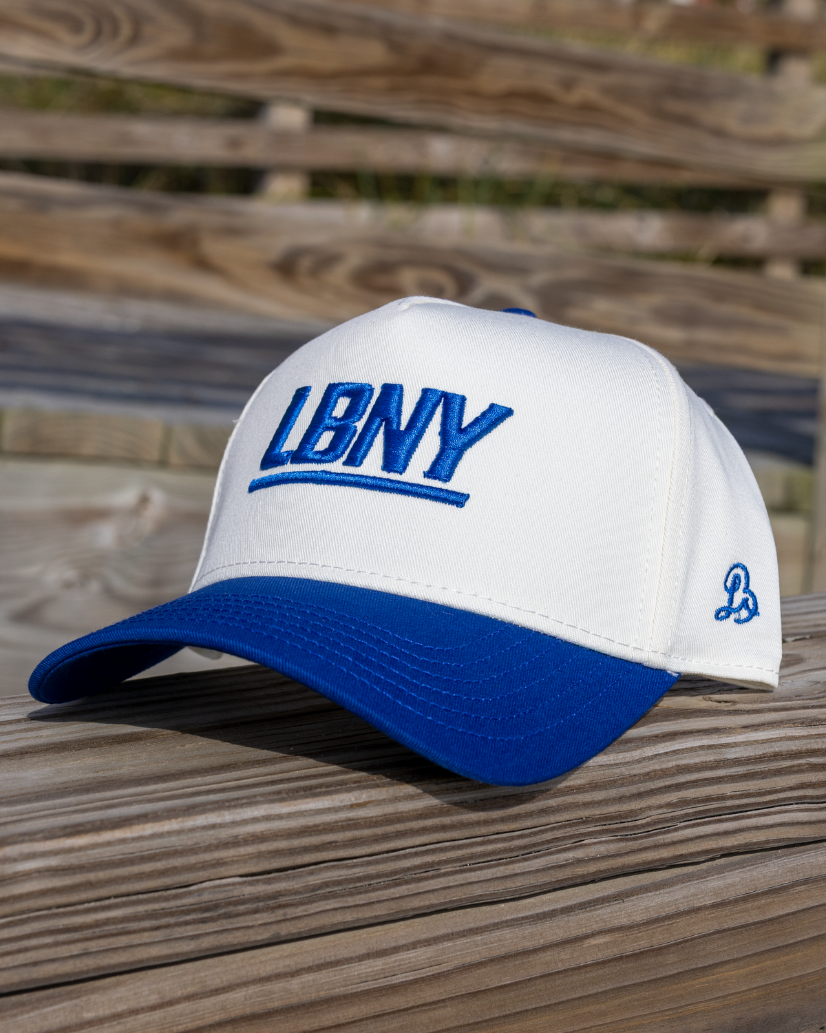 The Big Blue Cap