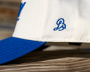 The Big Blue Cap