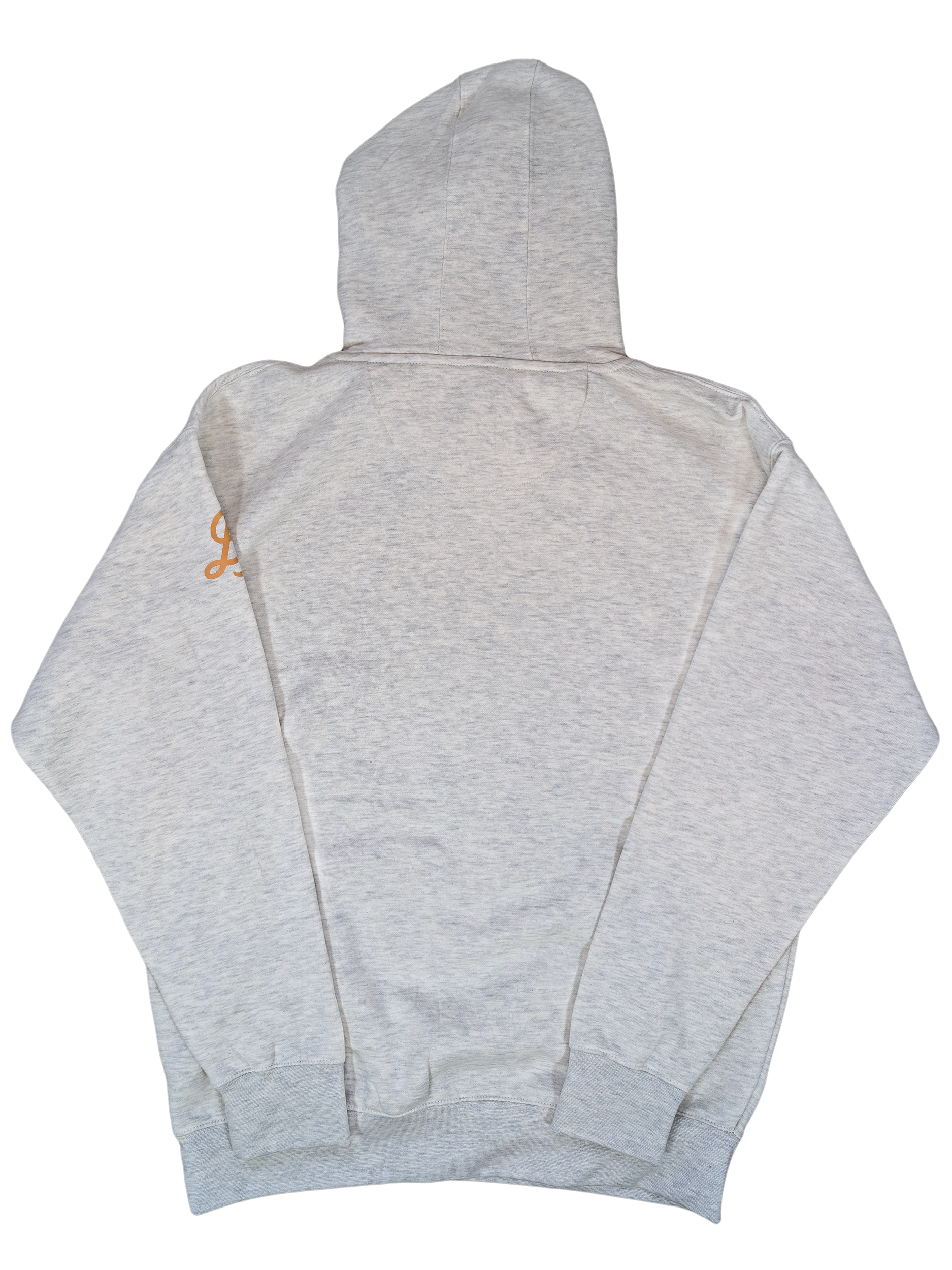 Autumn Surf Script Hoodie in Coastal Drift